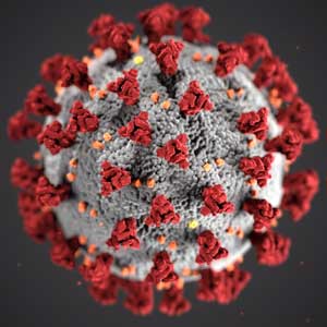 Coronavirus picture for Infection Control online learning course